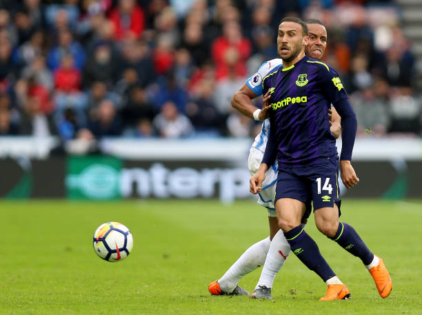 否优化排名 否优化排名