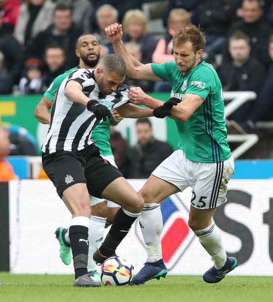 奥运冠军们 奥运冠军们